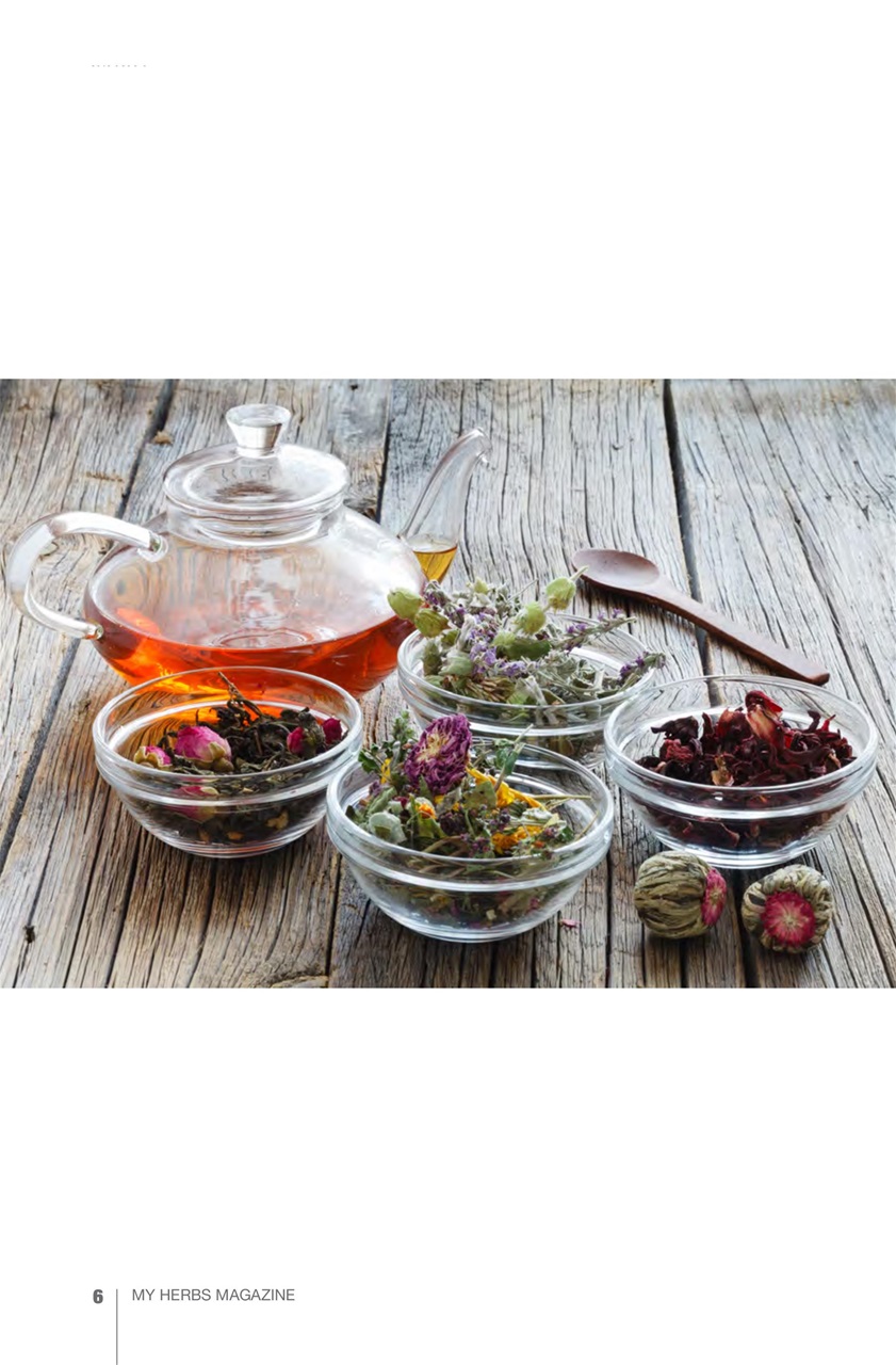 My Herbs Magazine Preview Pages