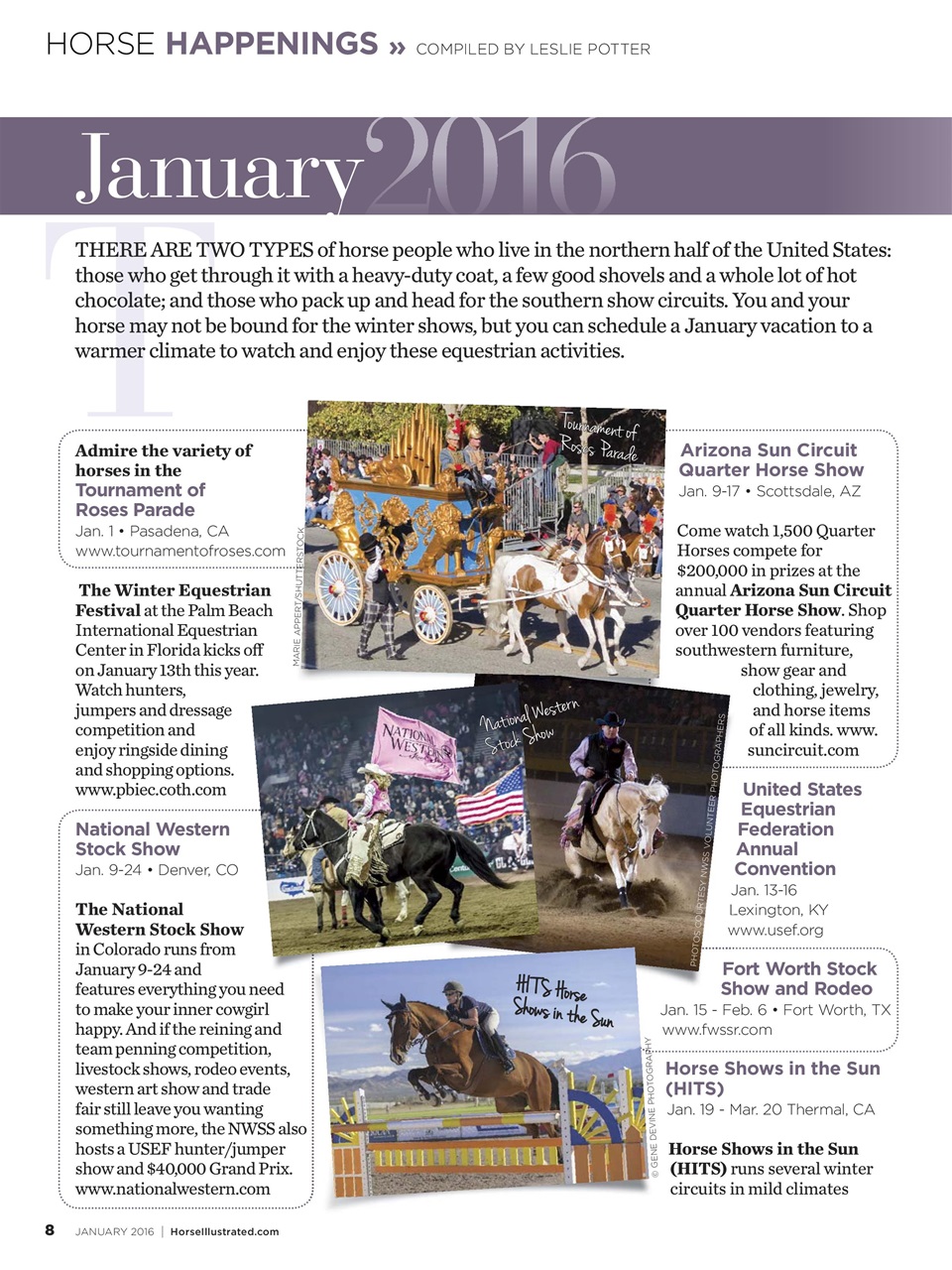 Horse Illustrated Magazine Preview Pages