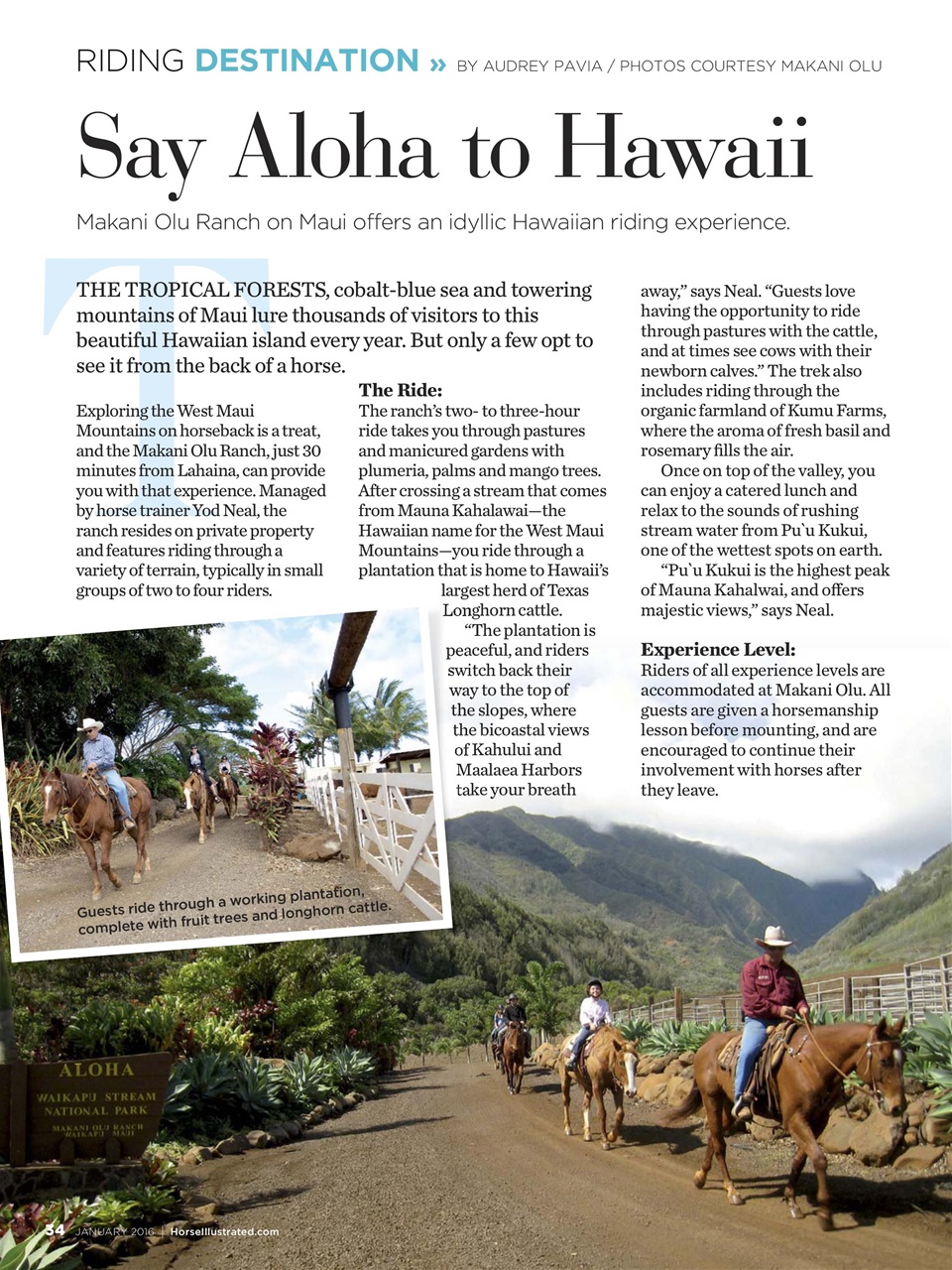 Horse Illustrated Magazine Preview Pages