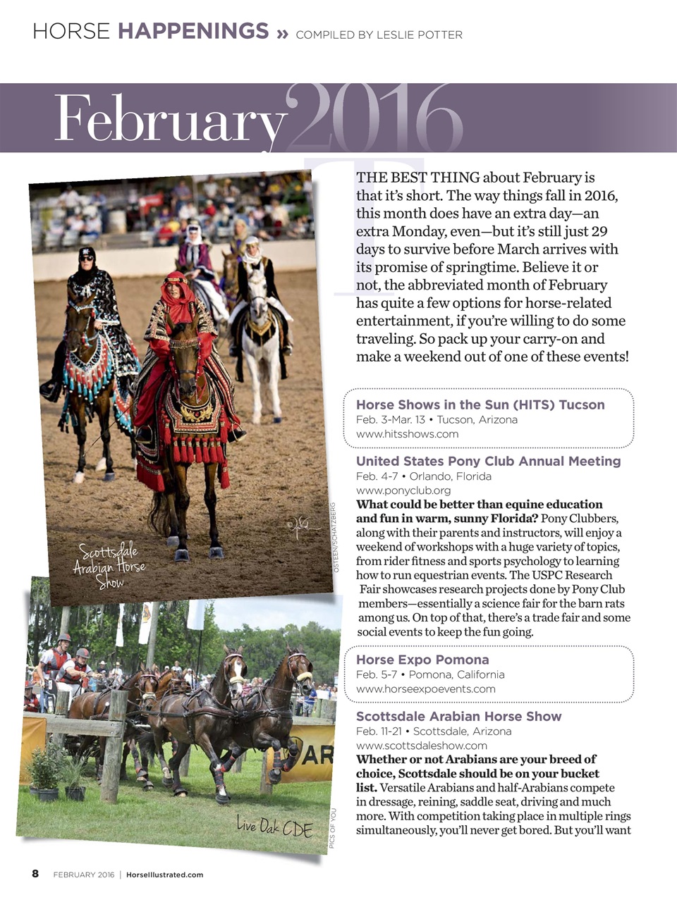 Horse Illustrated Magazine Preview Pages