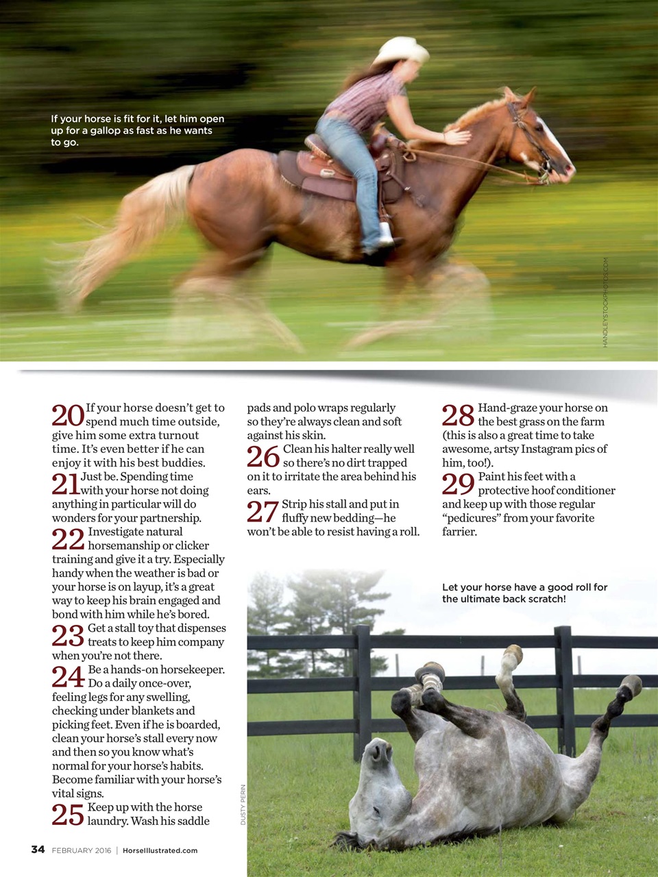 Horse Illustrated Magazine Preview Pages