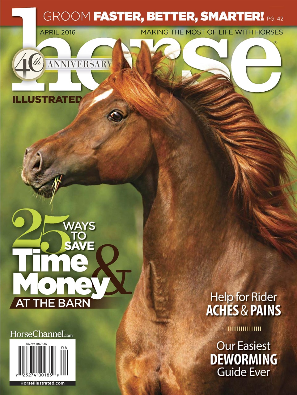 Horse Illustrated Magazine Preview Pages