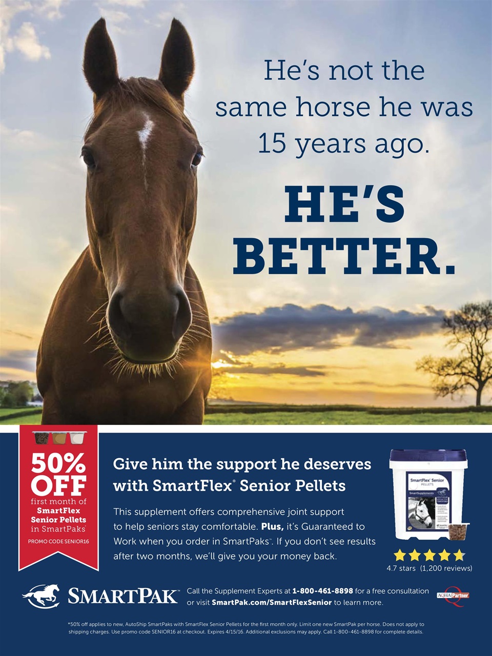 Horse Illustrated Magazine Preview Pages