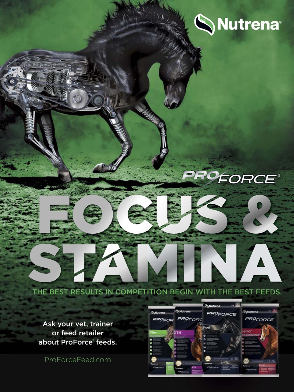 Horse Illustrated Magazine Preview Pages