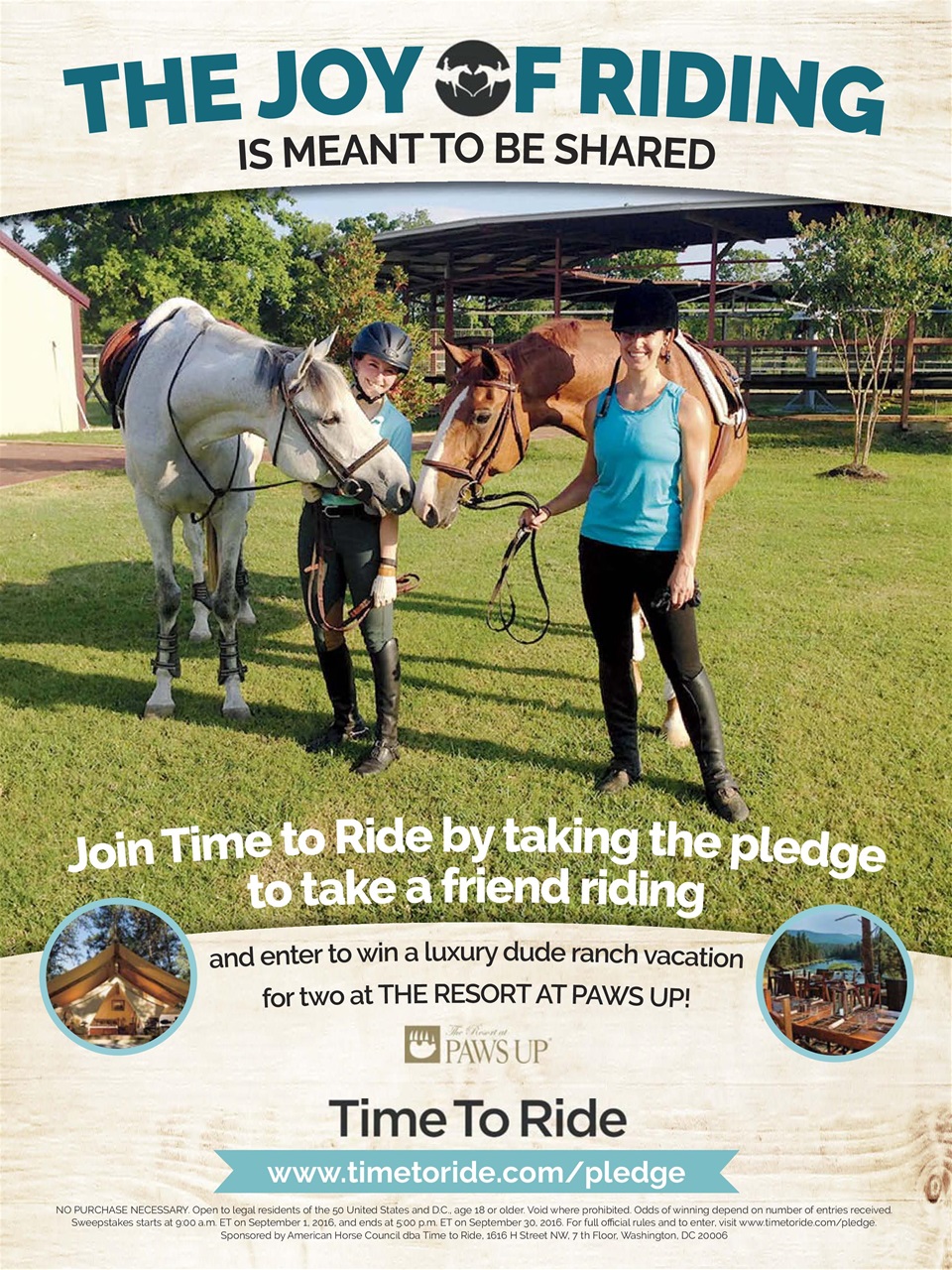 Horse Illustrated Magazine Preview Pages