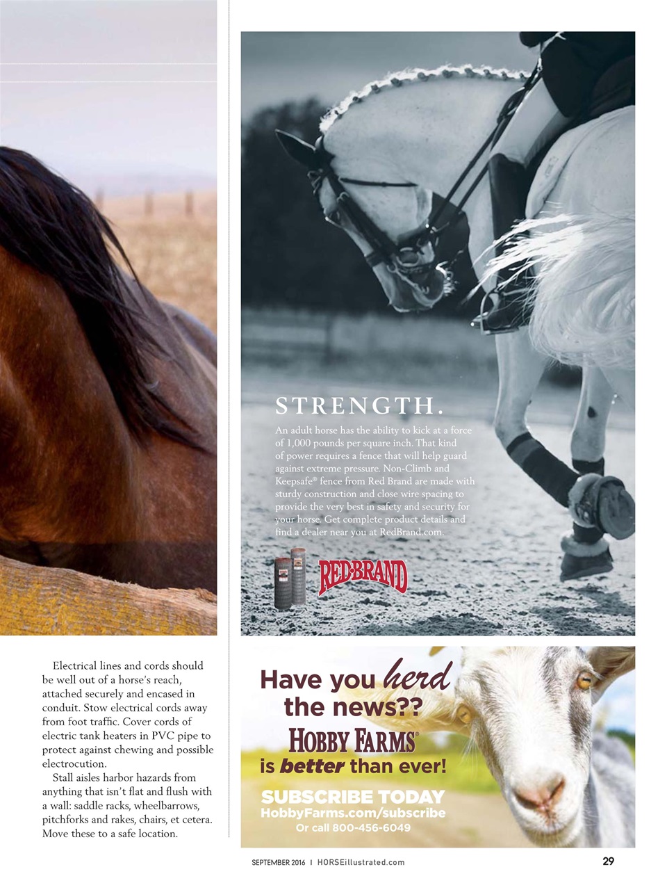 Horse Illustrated Magazine Preview Pages