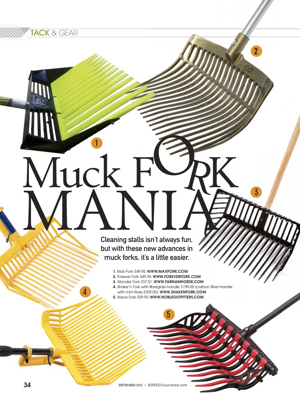 Horse Illustrated Magazine Preview Pages