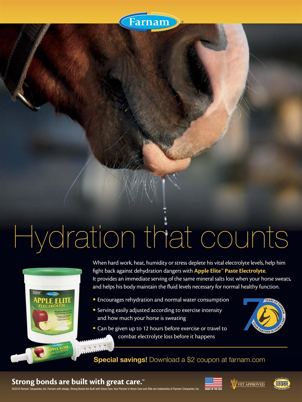 Horse Illustrated Magazine Preview Pages