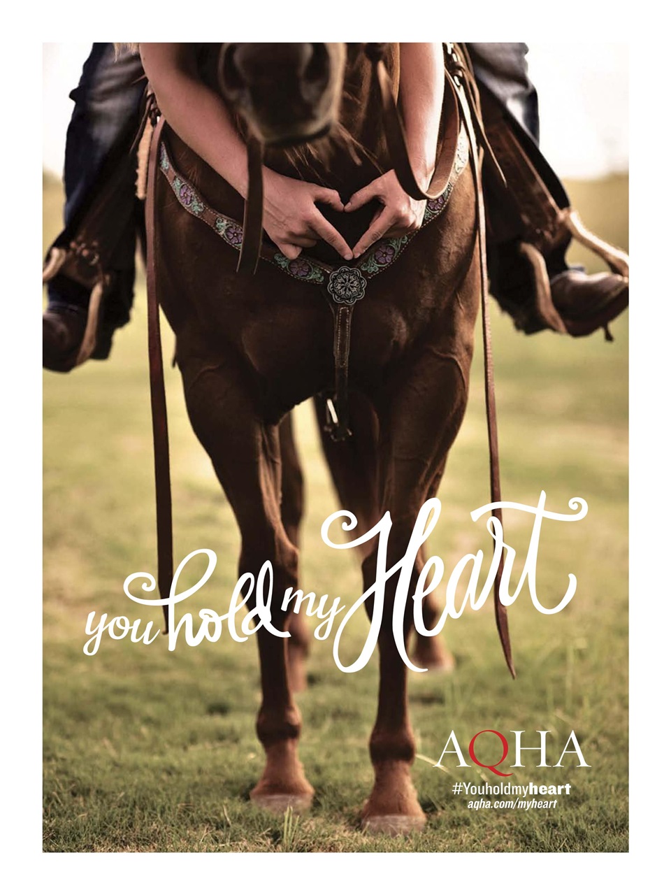 Horse Illustrated Magazine Preview Pages