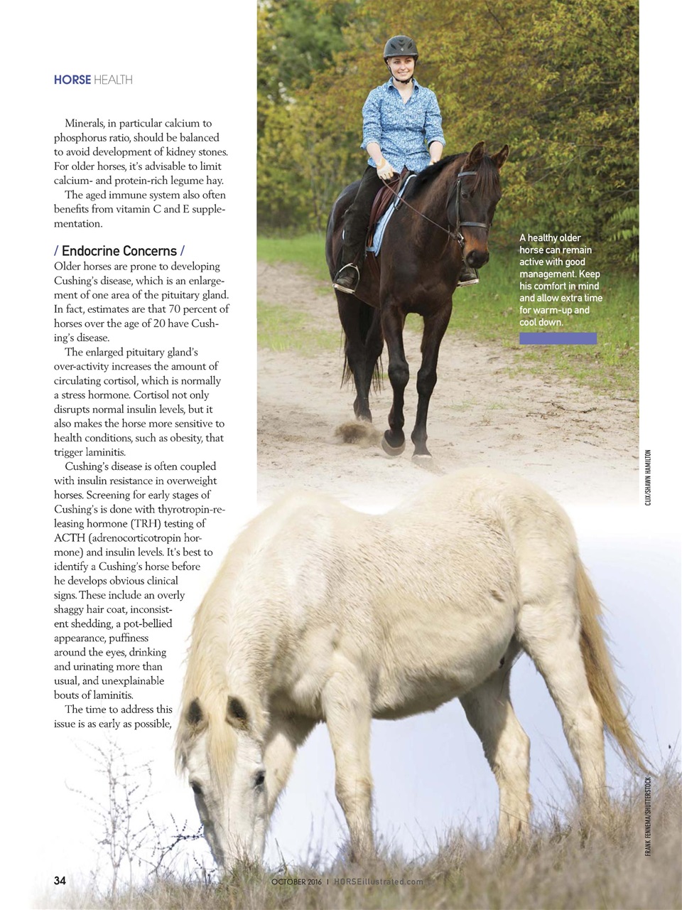 Horse Illustrated Magazine Preview Pages