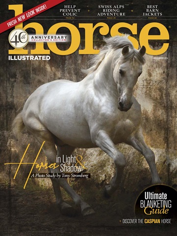 Horse Illustrated Magazine issue Nov