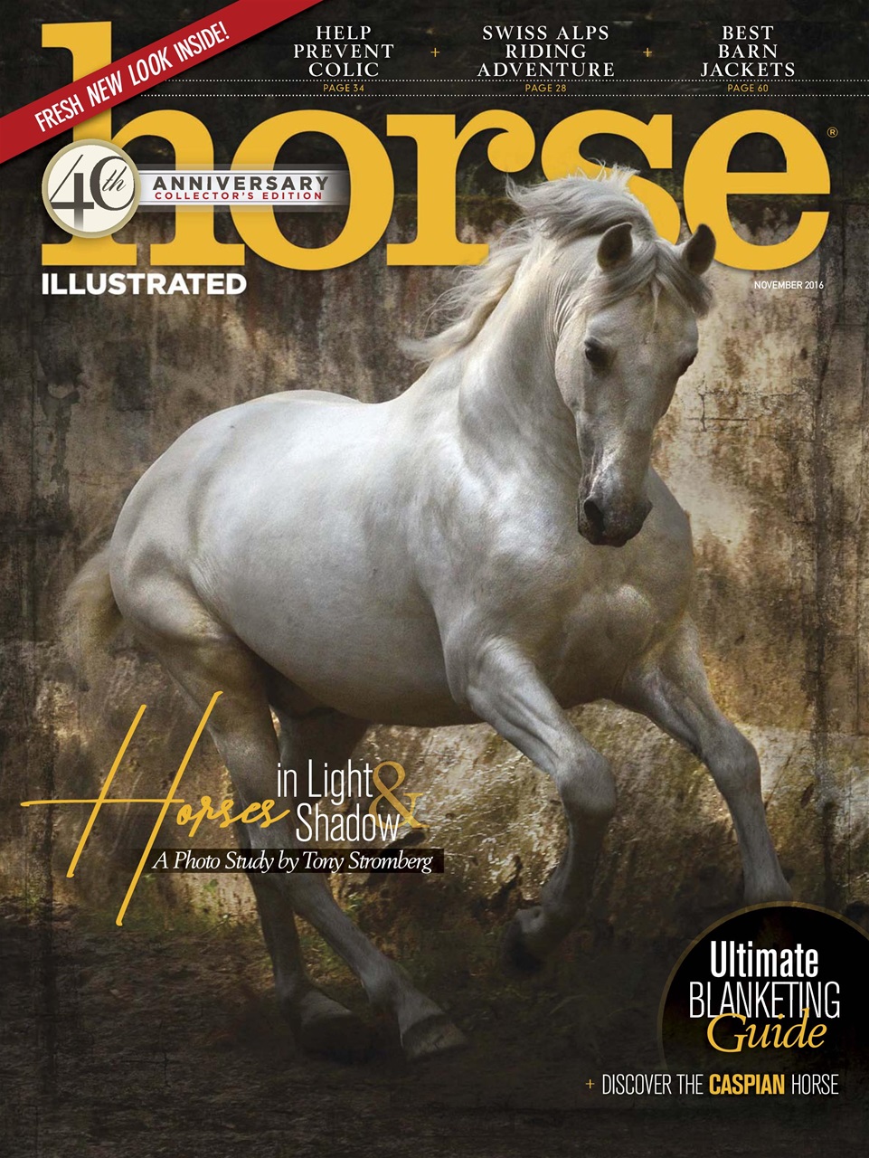 Horse Illustrated Magazine Preview Pages