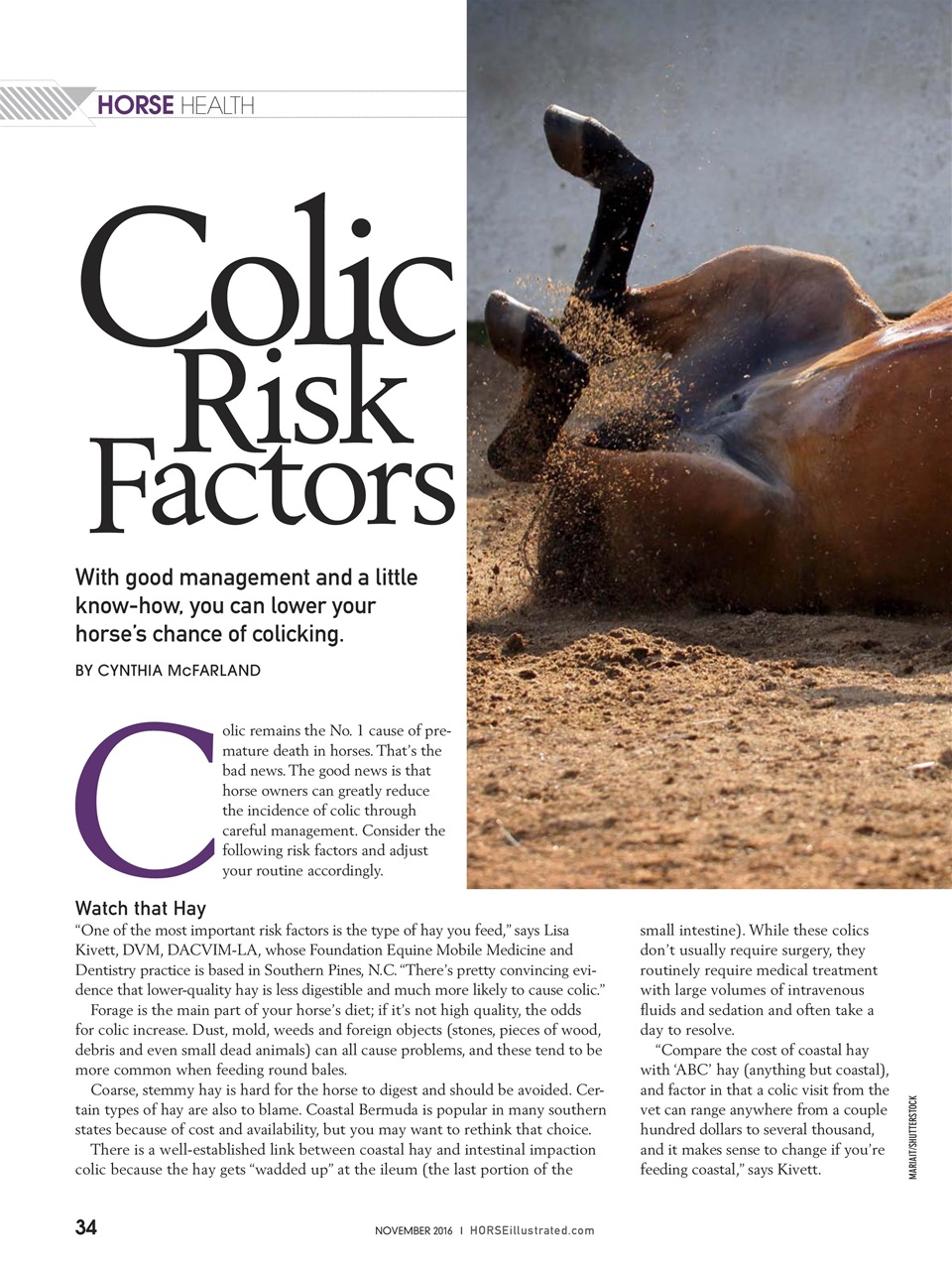 Horse Illustrated Magazine Preview Pages