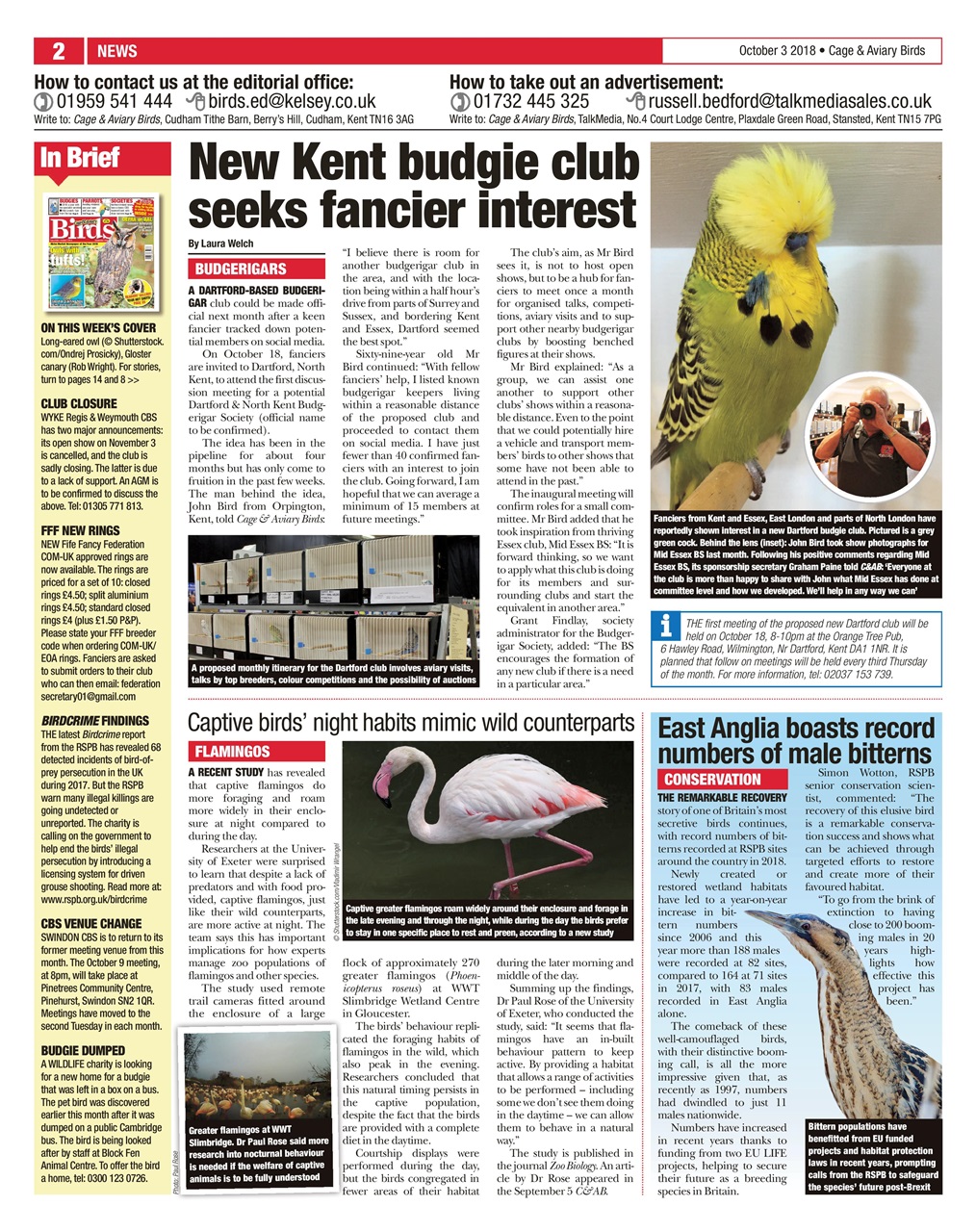 Cage & Aviary Birds Preview Pages