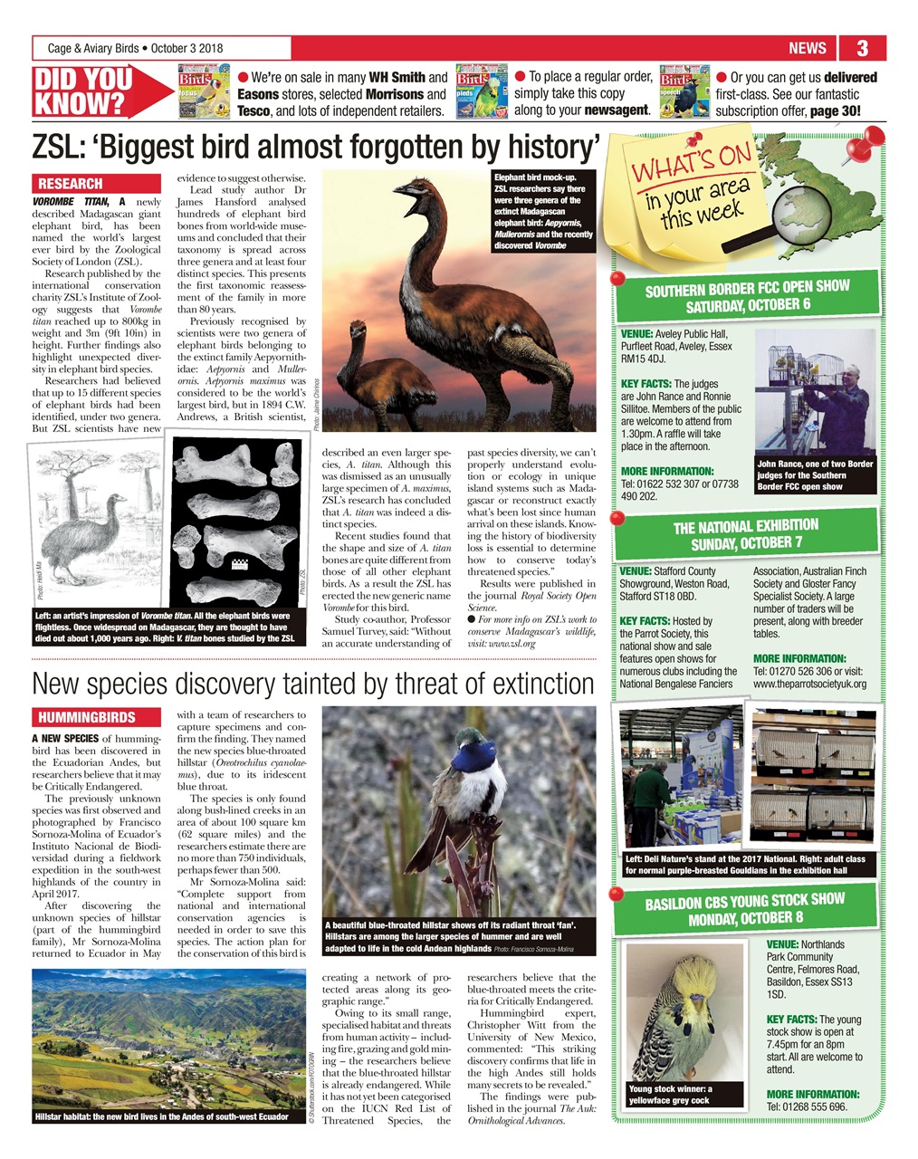 Cage & Aviary Birds Preview Pages