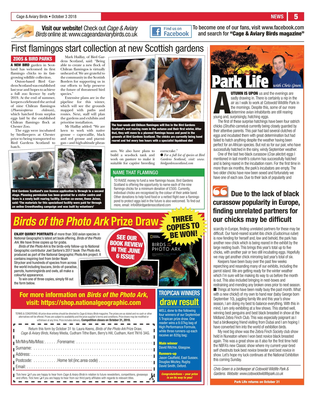 Cage & Aviary Birds Preview Pages