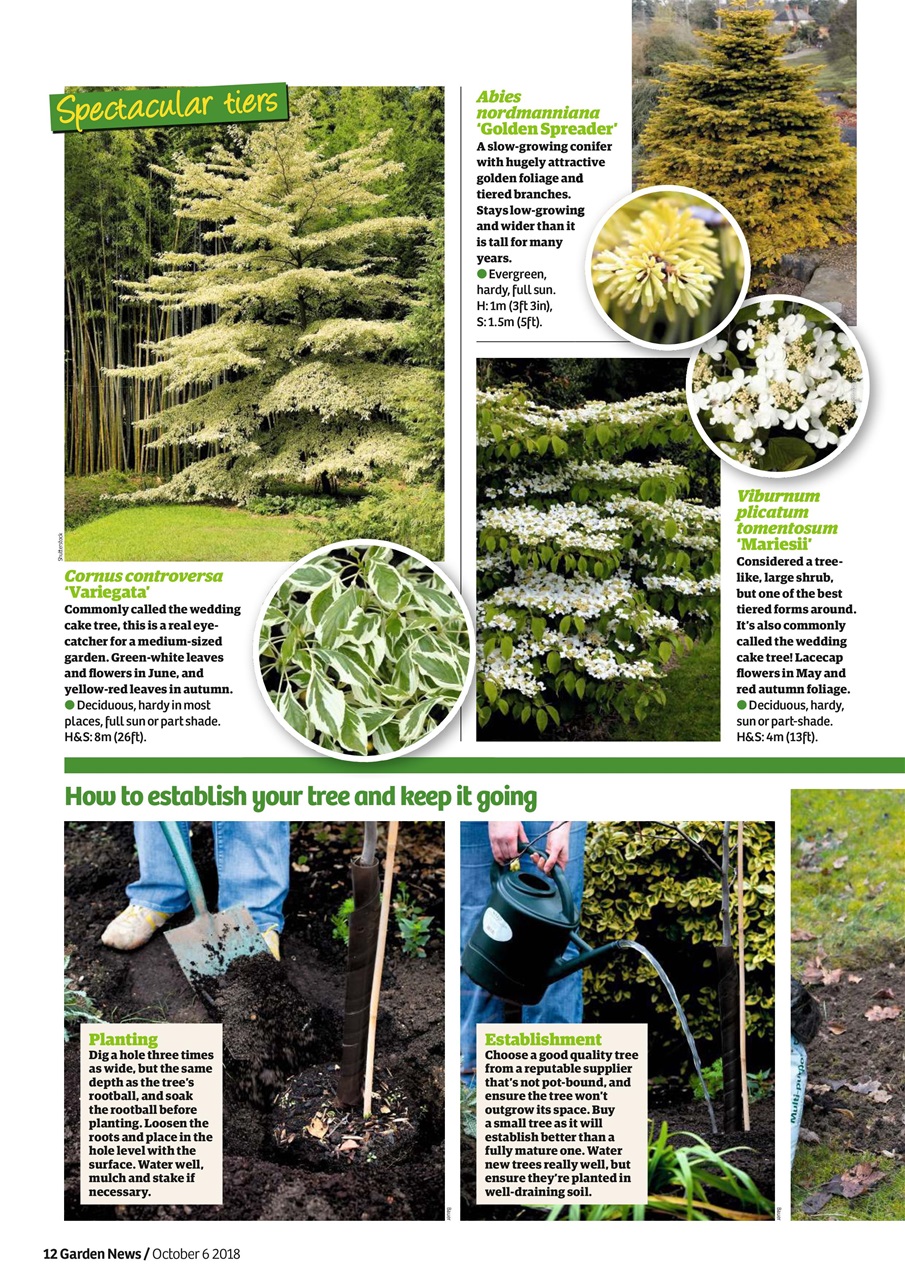 Garden News Preview Pages