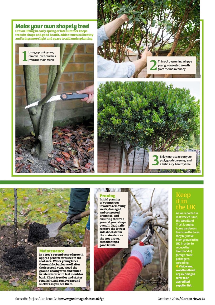 Garden News Preview Pages