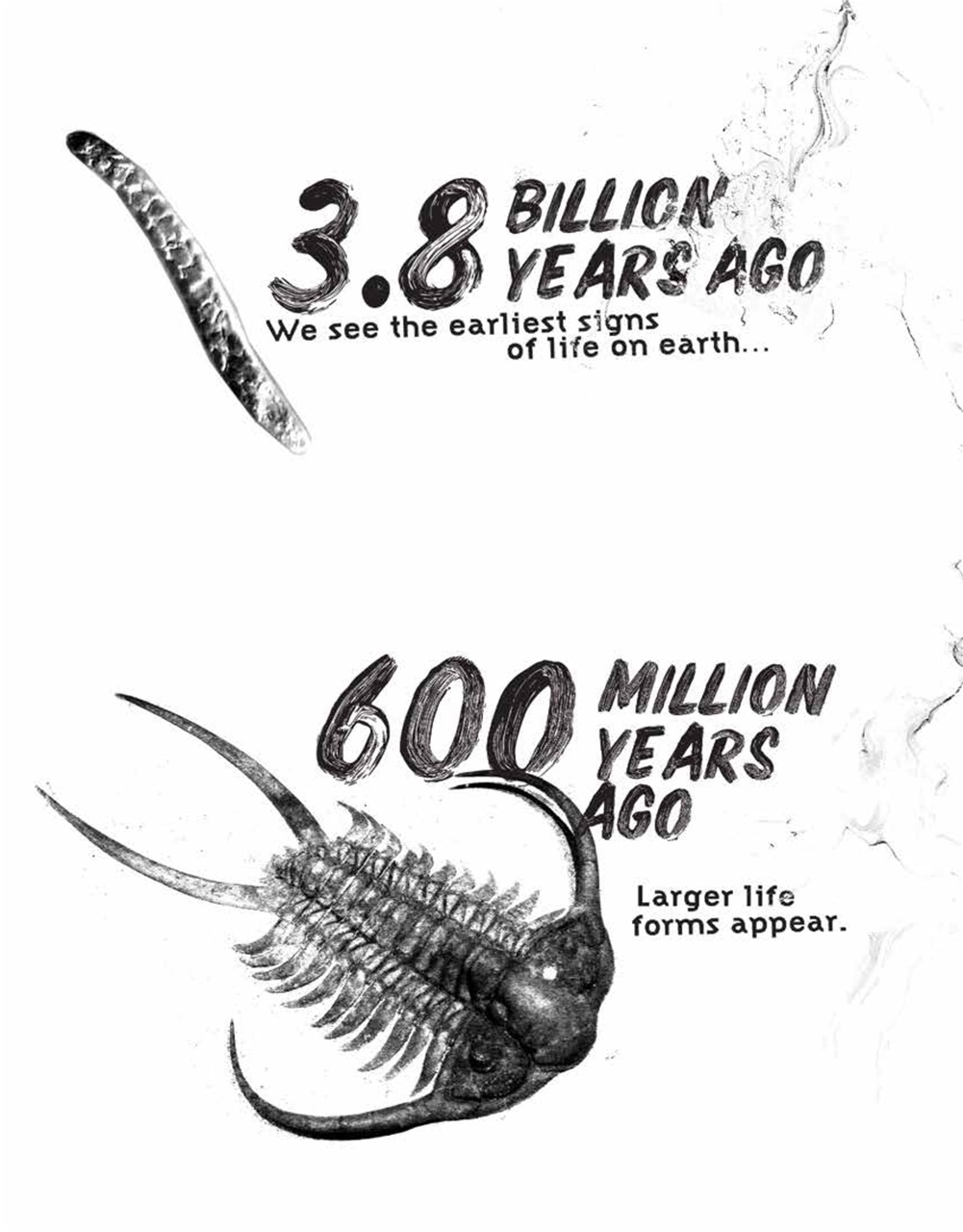 Adbusters Preview Pages