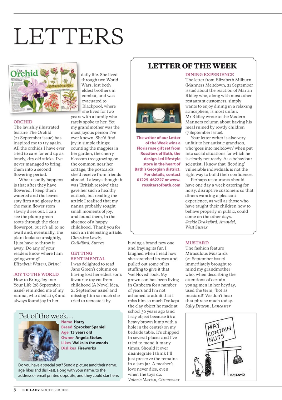 The Lady Preview Pages