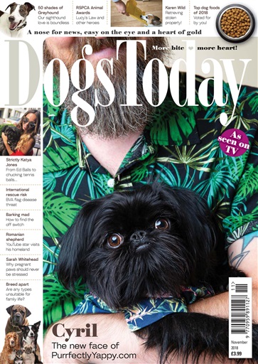 Dogs Today Magazine issue 
