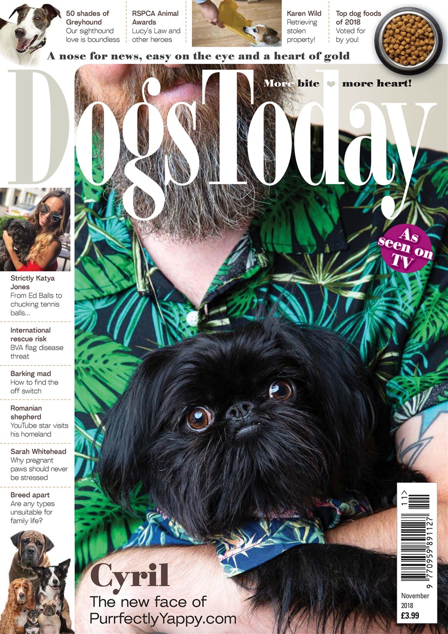 Dogs Today Magazine Preview Pages