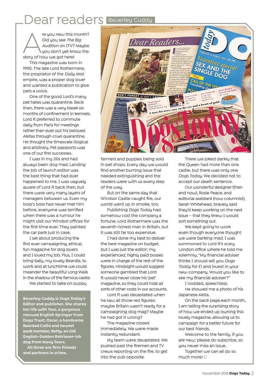 Dogs Today Magazine Preview Pages