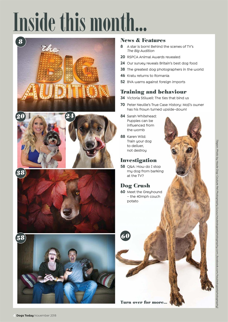 Dogs Today Magazine Preview Pages