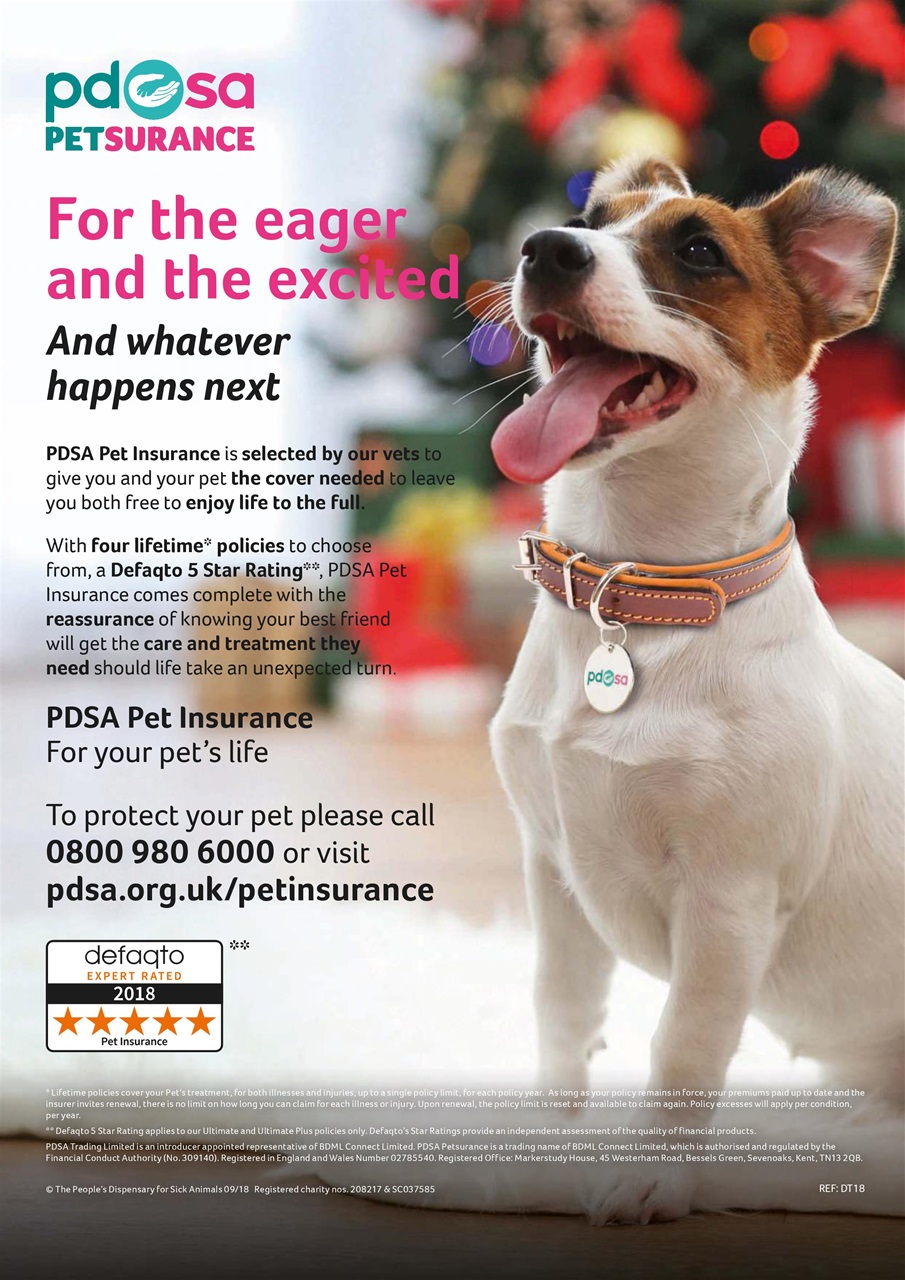 Dogs Today Magazine Preview Pages