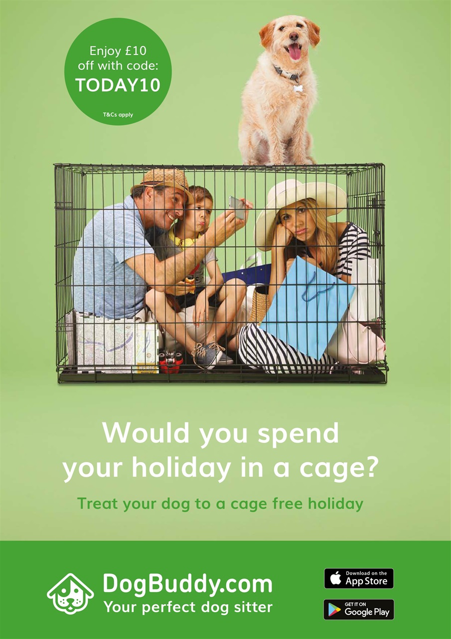 Dogs Today Magazine Preview Pages