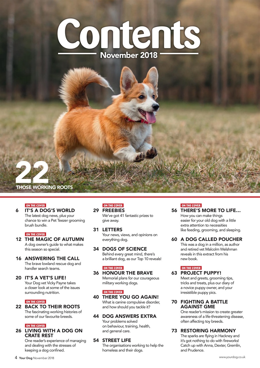 Your Dog Preview Pages