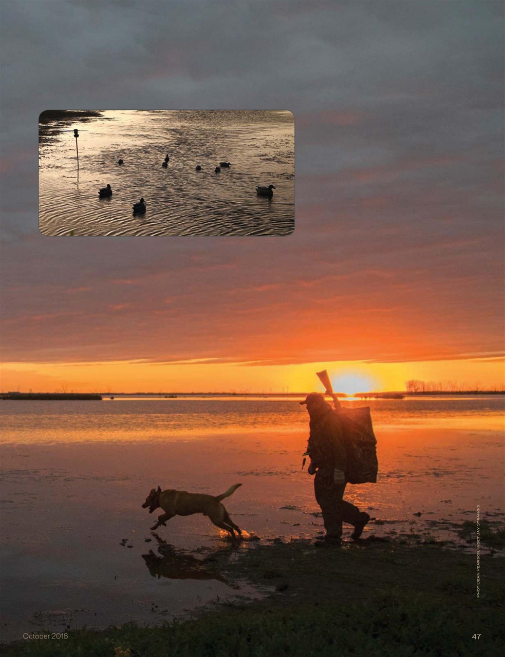 American Waterfowler Preview Pages