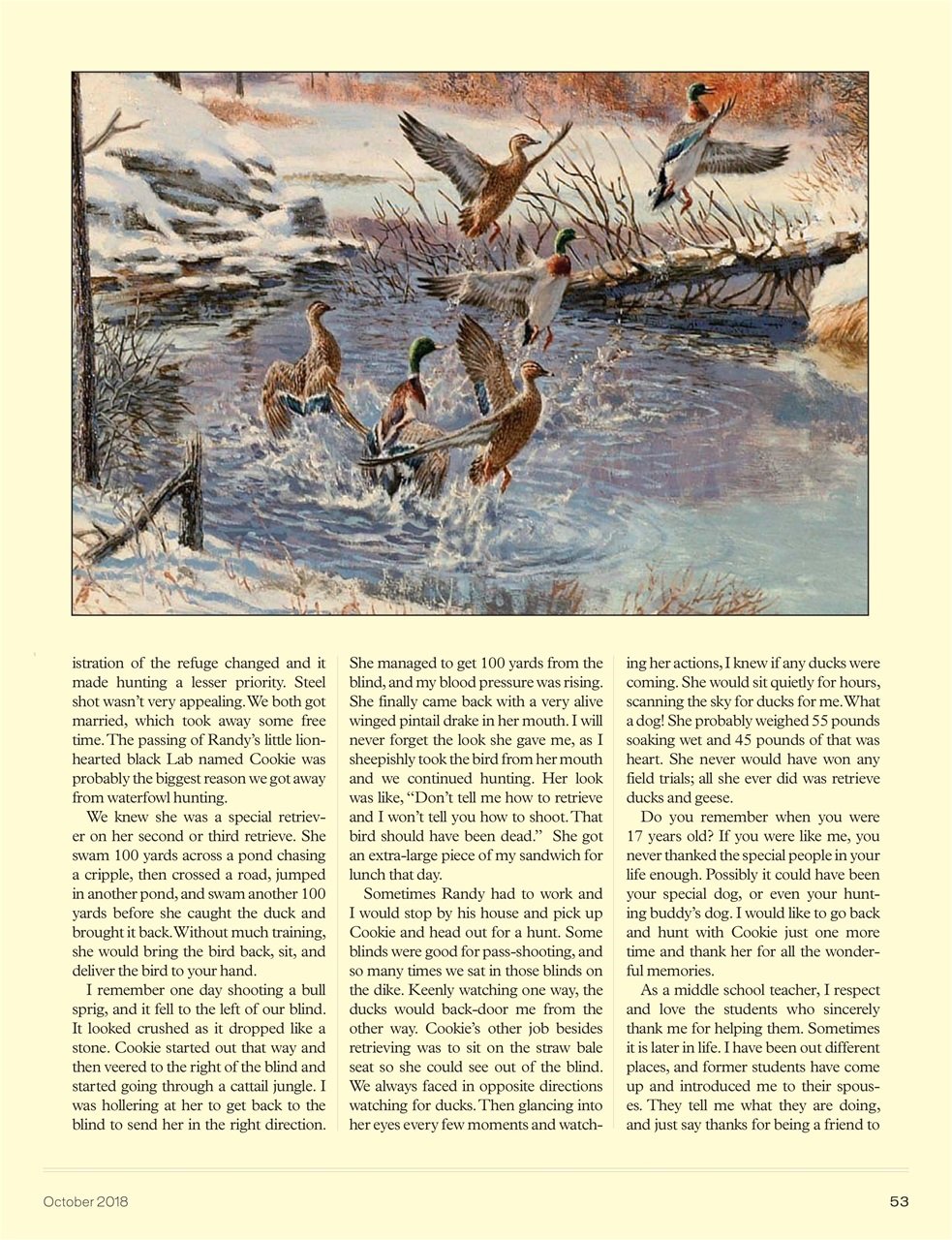 American Waterfowler Preview Pages