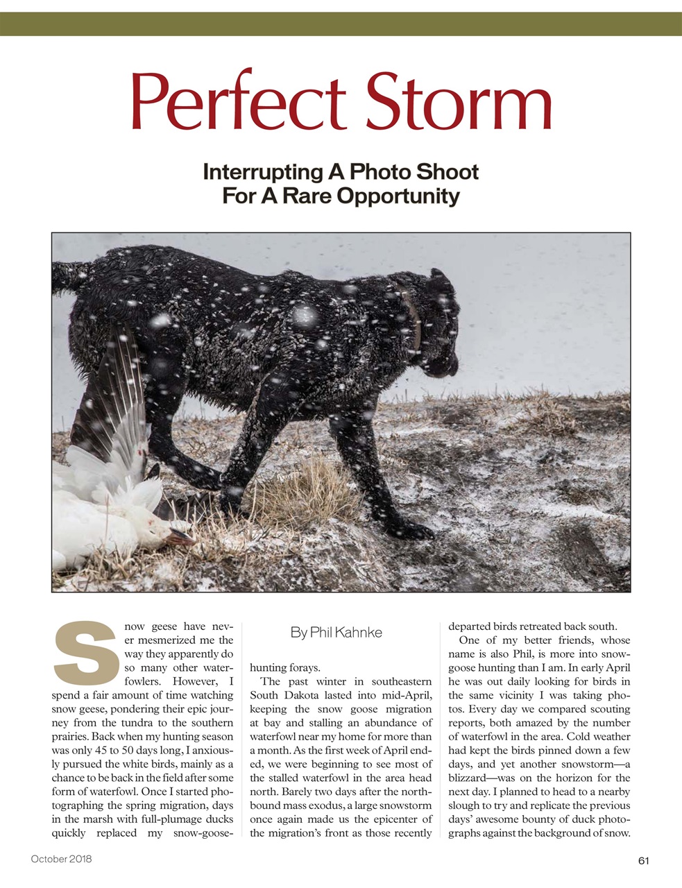 American Waterfowler Preview Pages