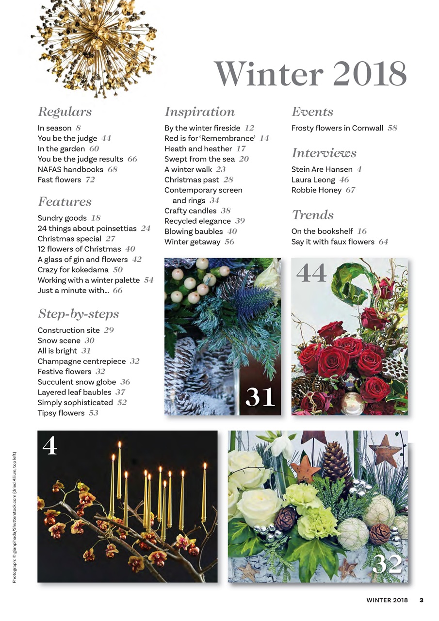 The Flower Arranger Preview Pages