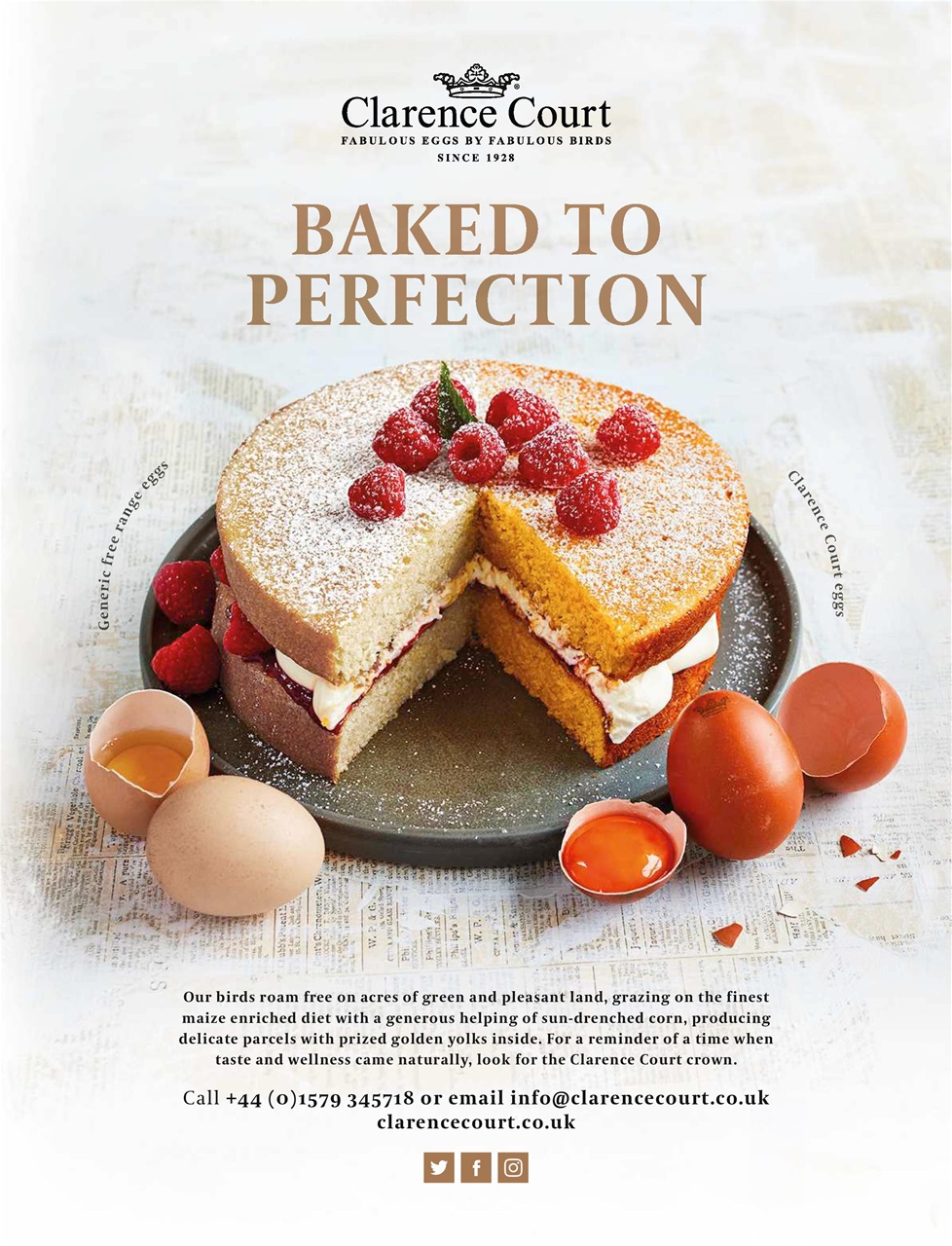 Easy Cook Magazine Preview Pages