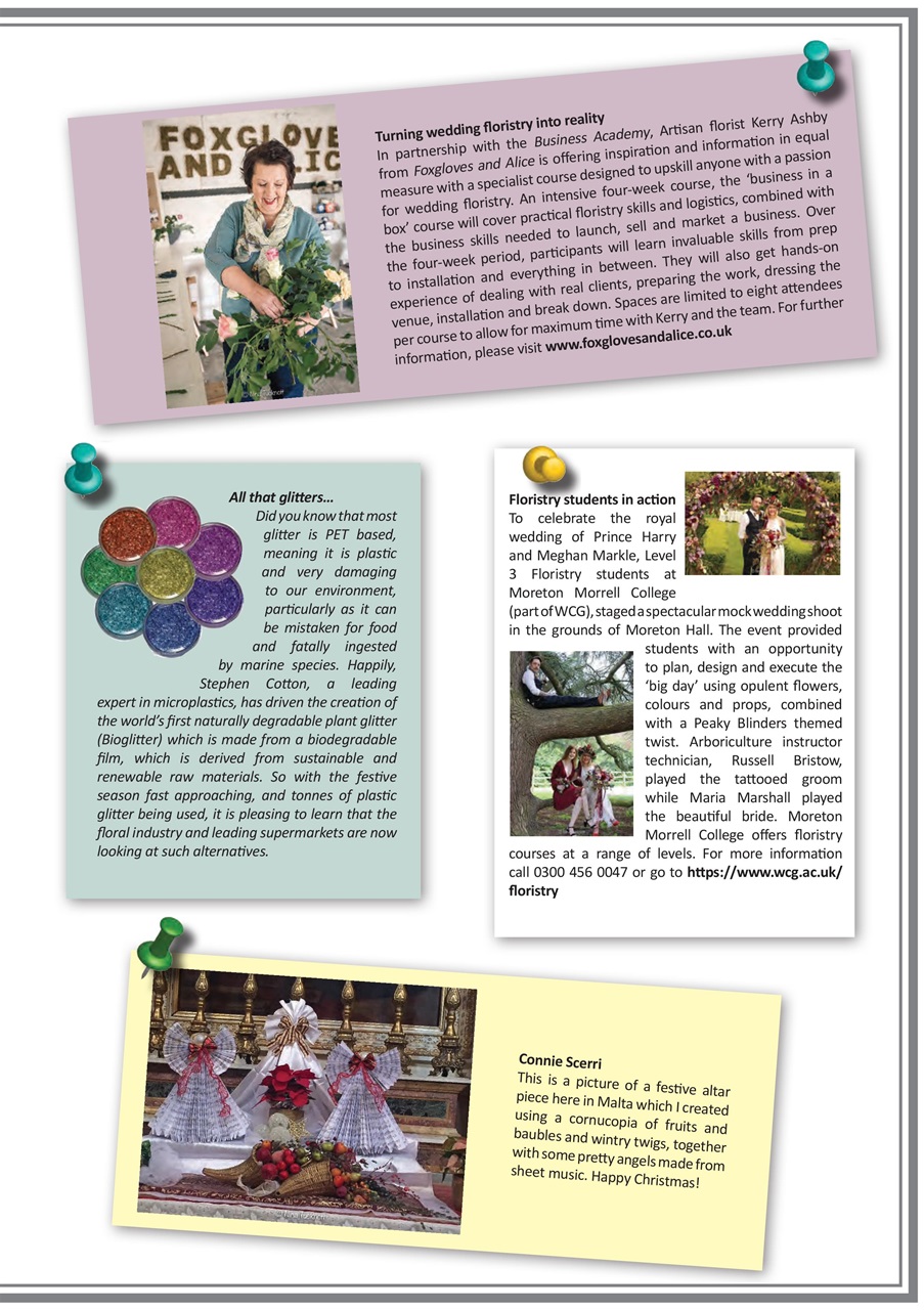 Flora International Preview Pages