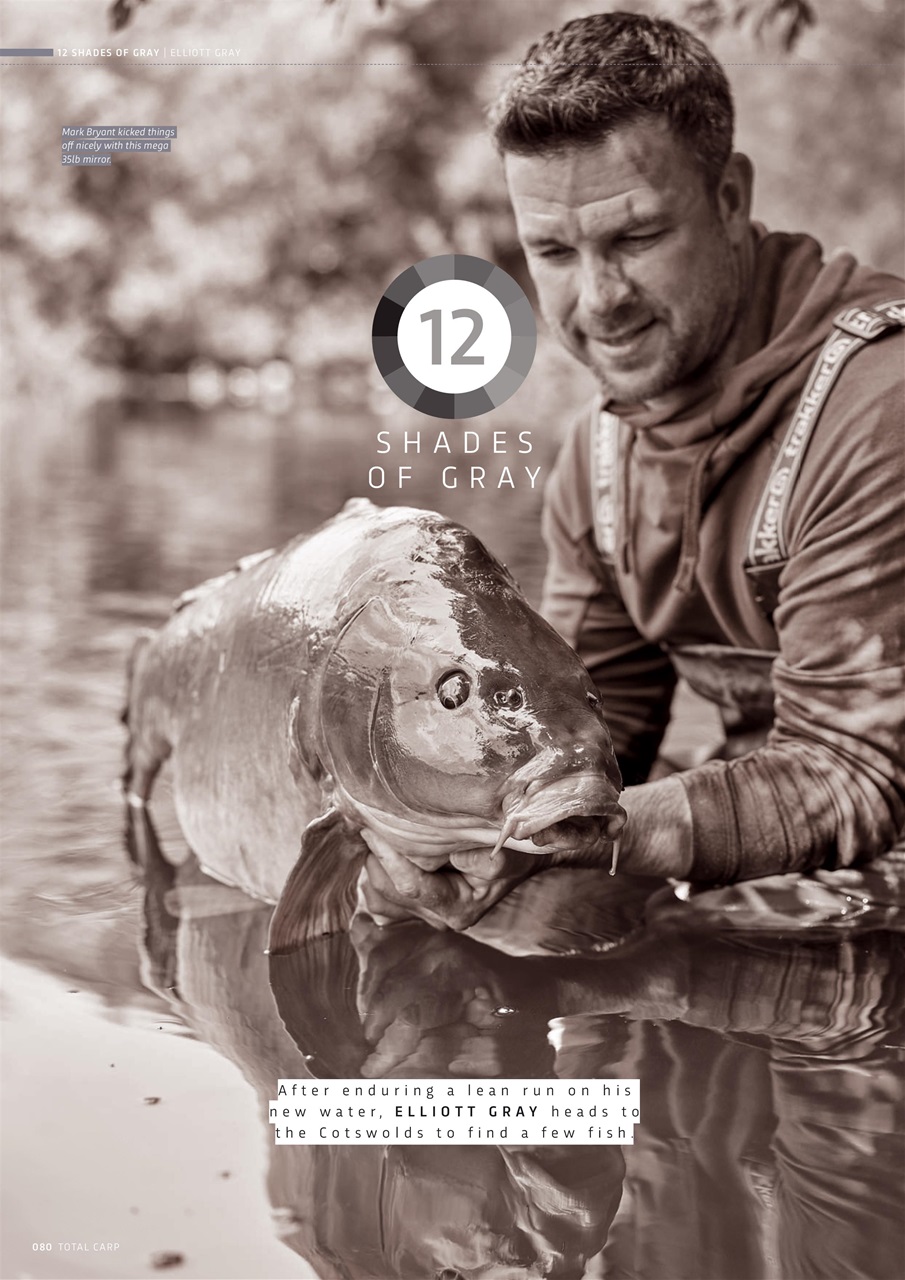 Total Carp Preview Pages