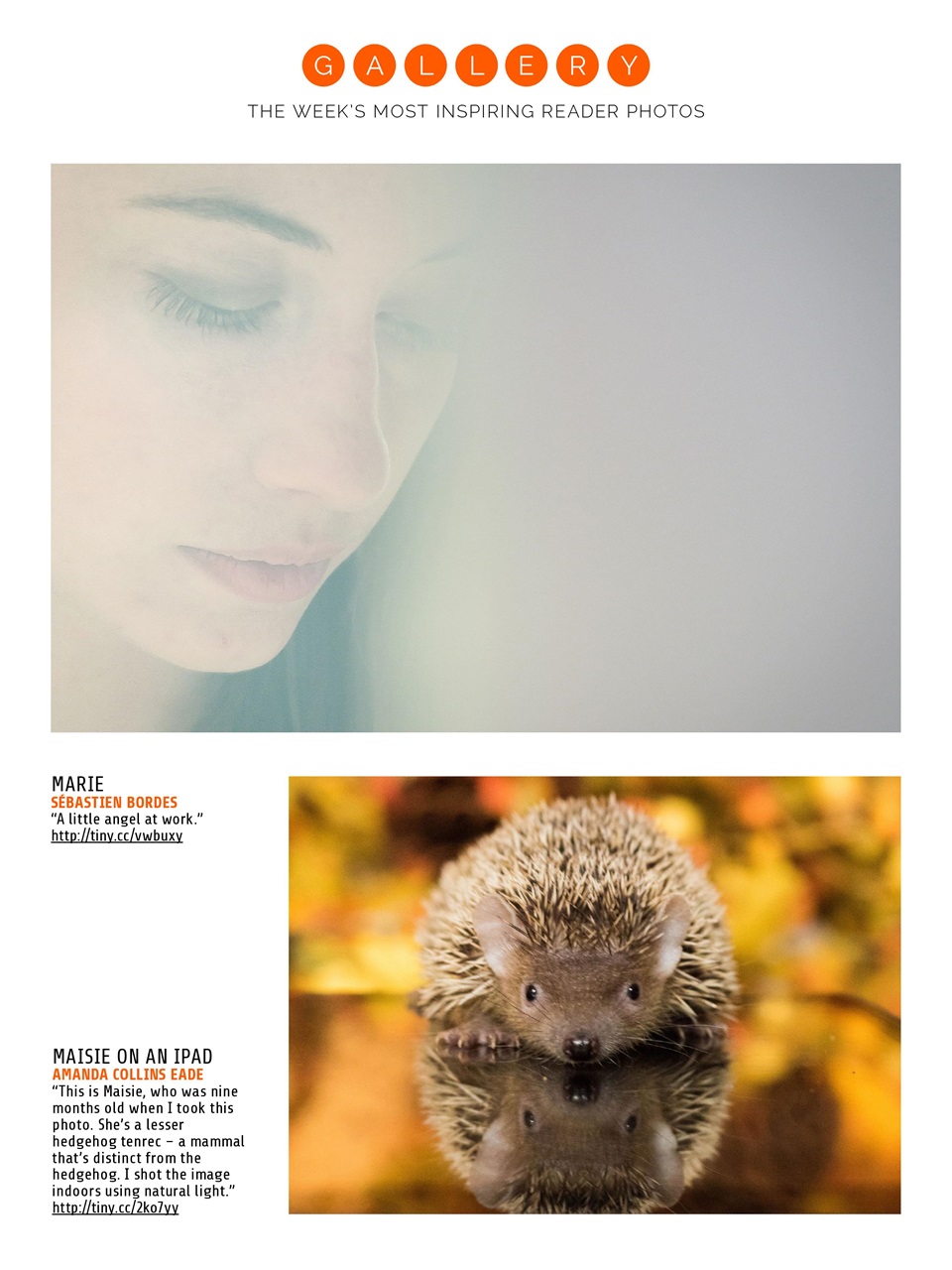 Photography Week Preview Pages