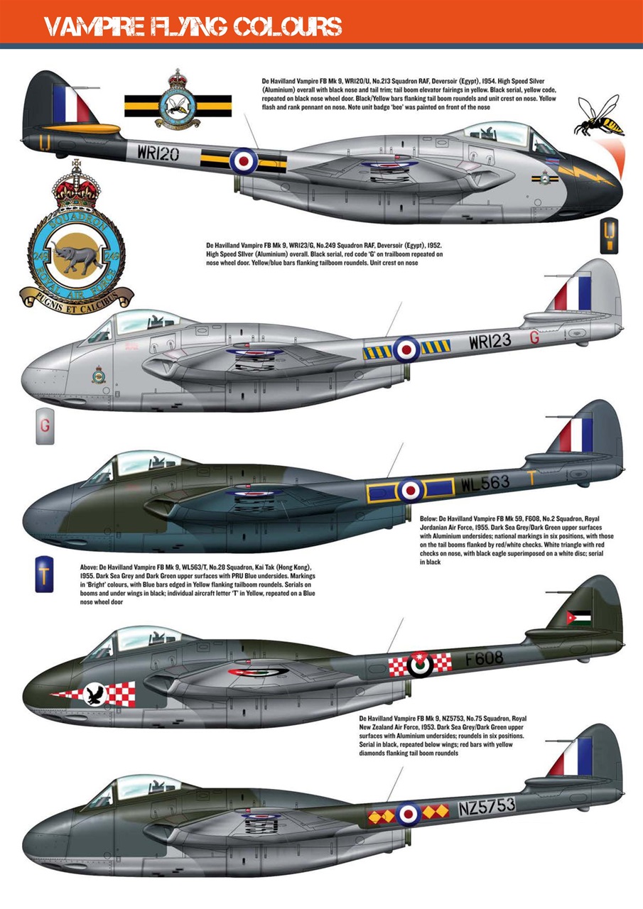 Radio Control Model Flyer Preview Pages