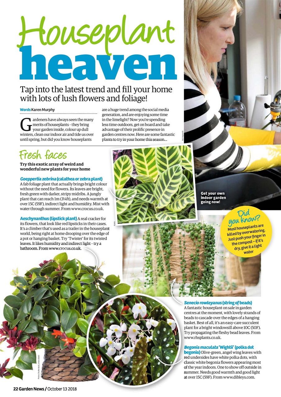 Garden News Preview Pages