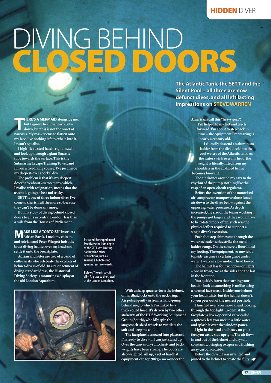 DIVER Preview Pages