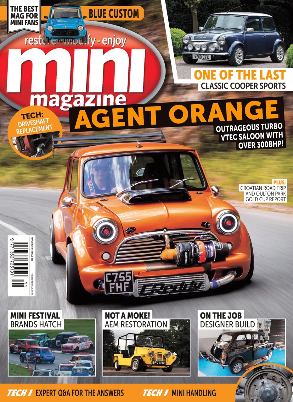 Mini Magazine Preview Pages