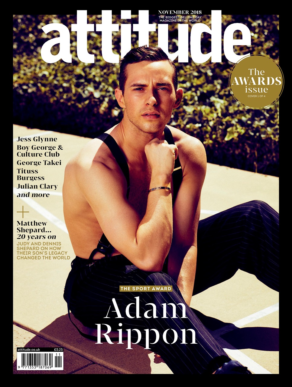 Attitude Preview Pages