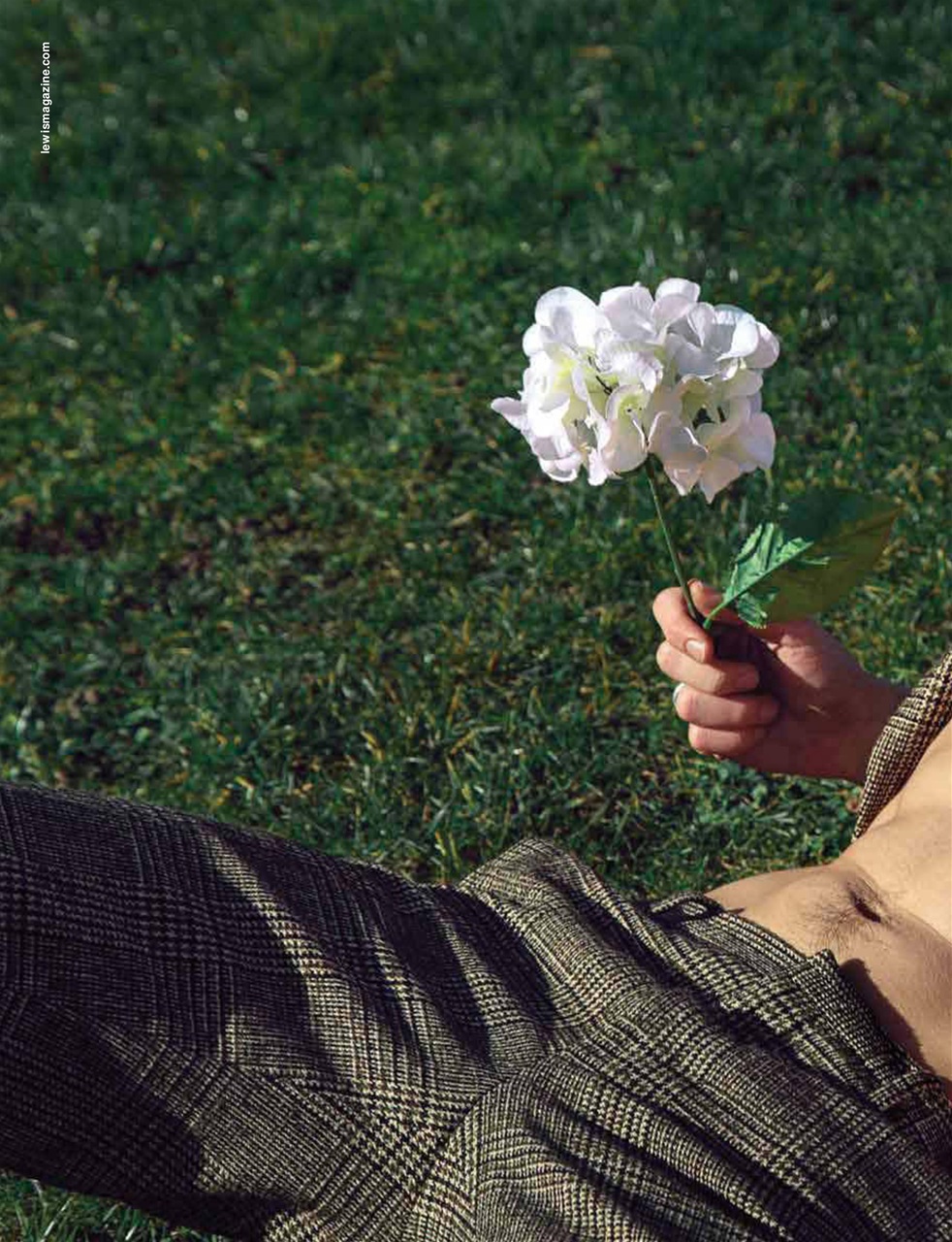 Lewis Magazine Preview Pages