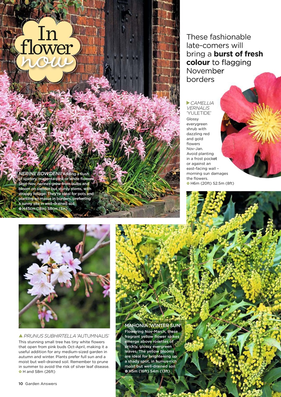 Garden Answers Preview Pages