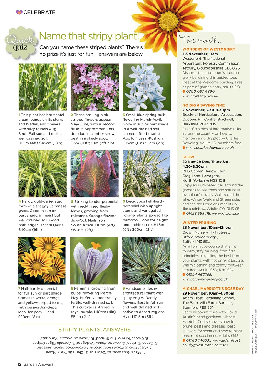 Garden Answers Preview Pages