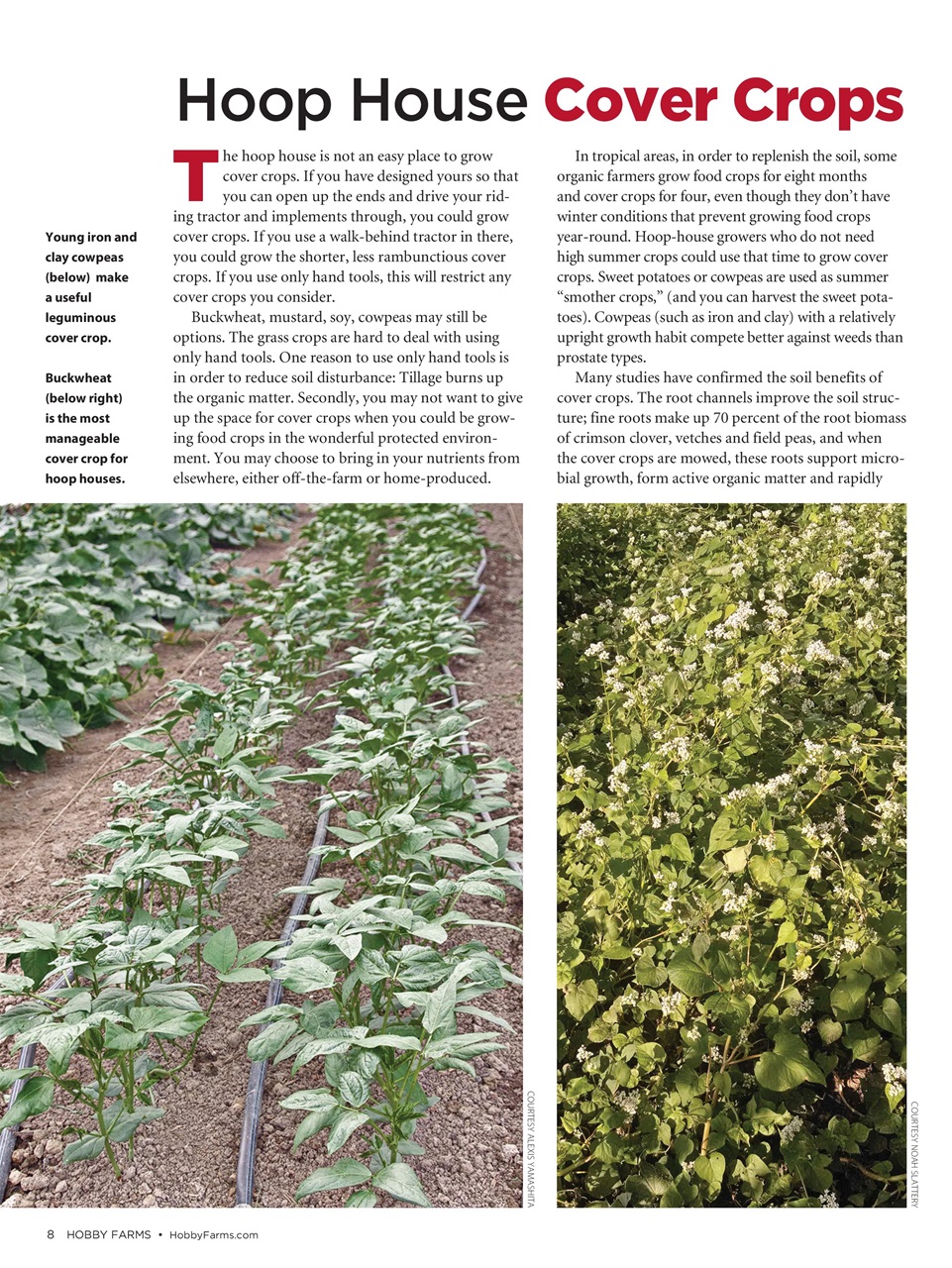 Hobby Farms Magazine Preview Pages
