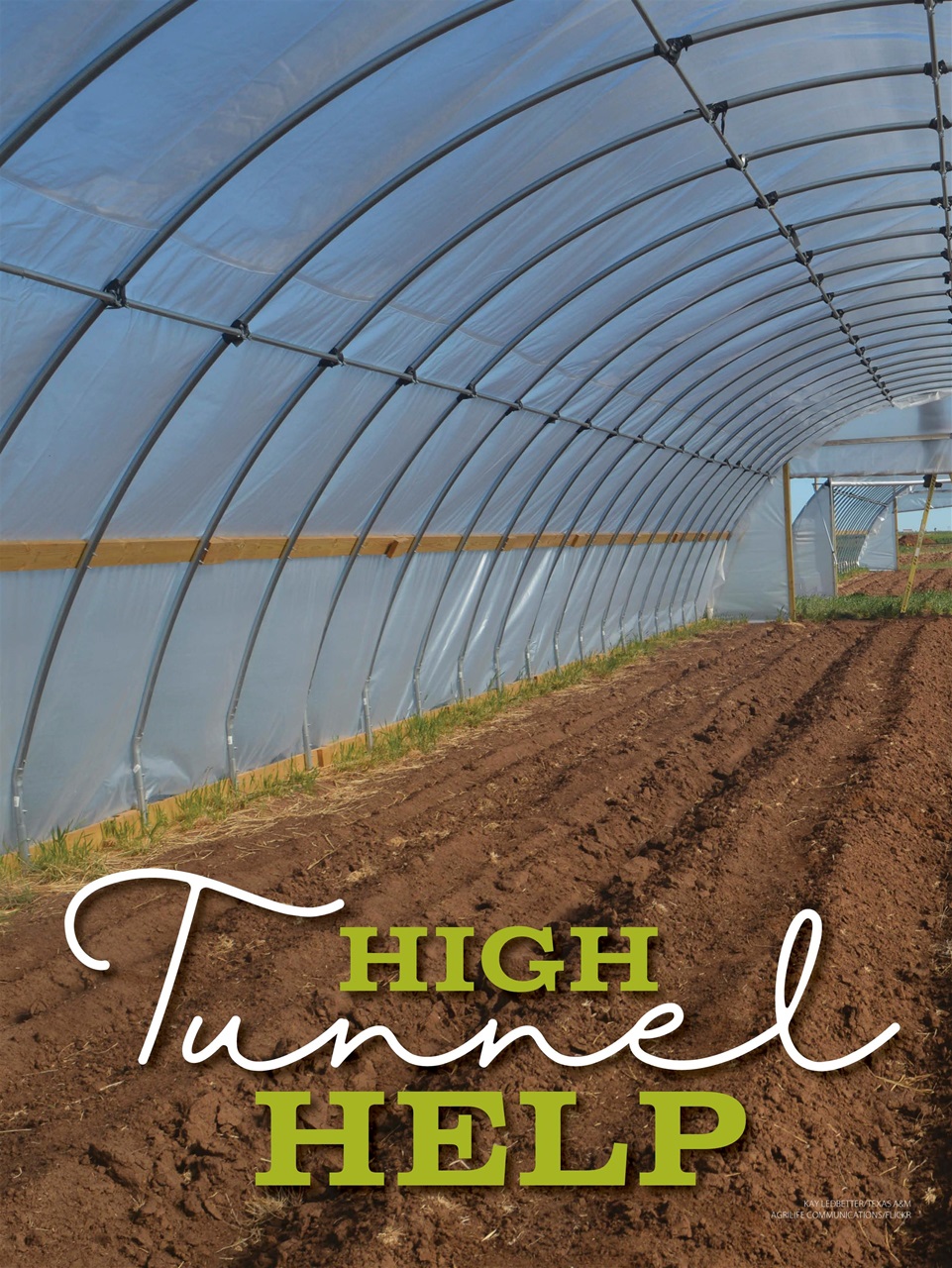 Hobby Farms Magazine Preview Pages