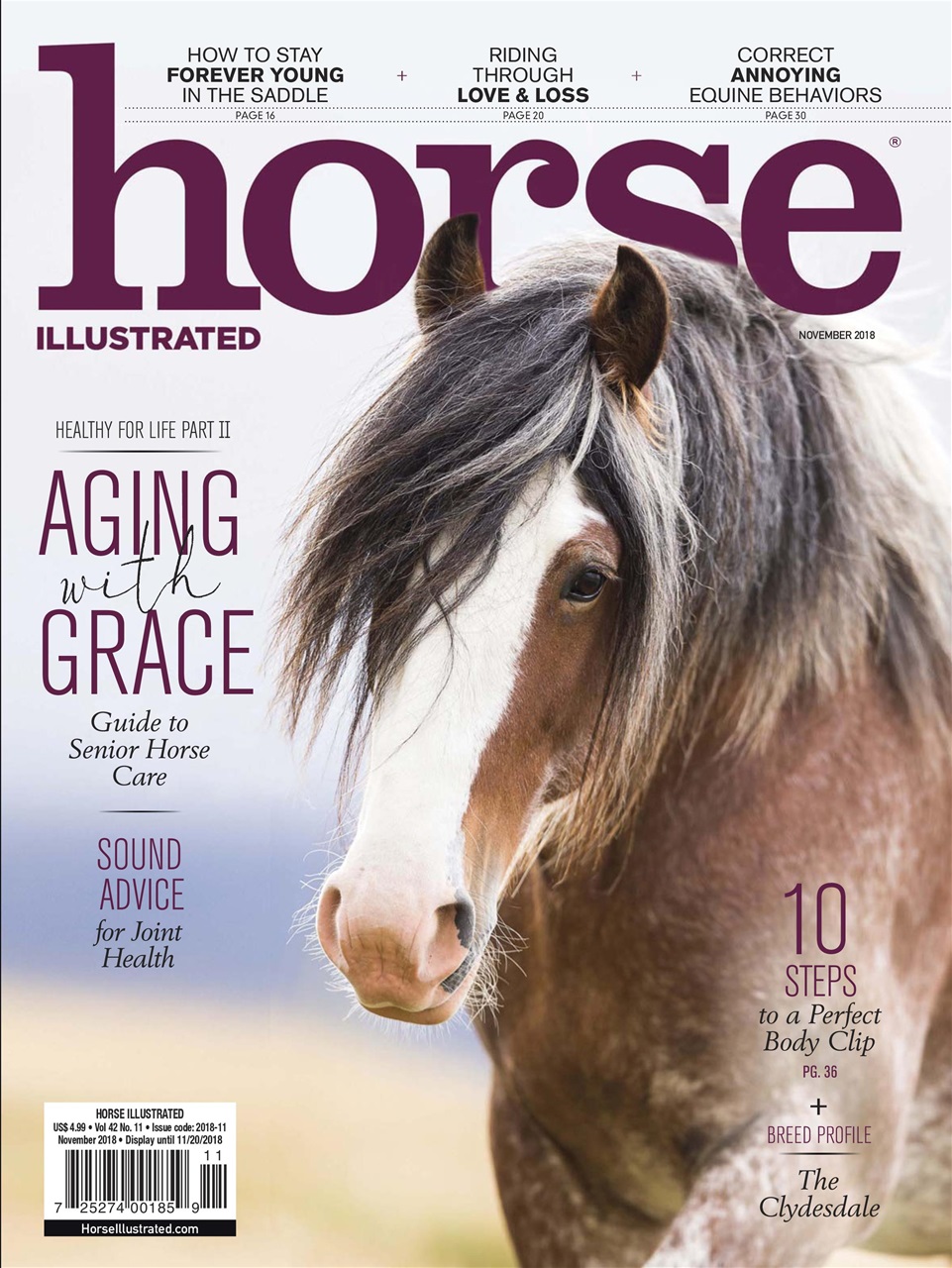 Horse Illustrated Magazine Preview Pages